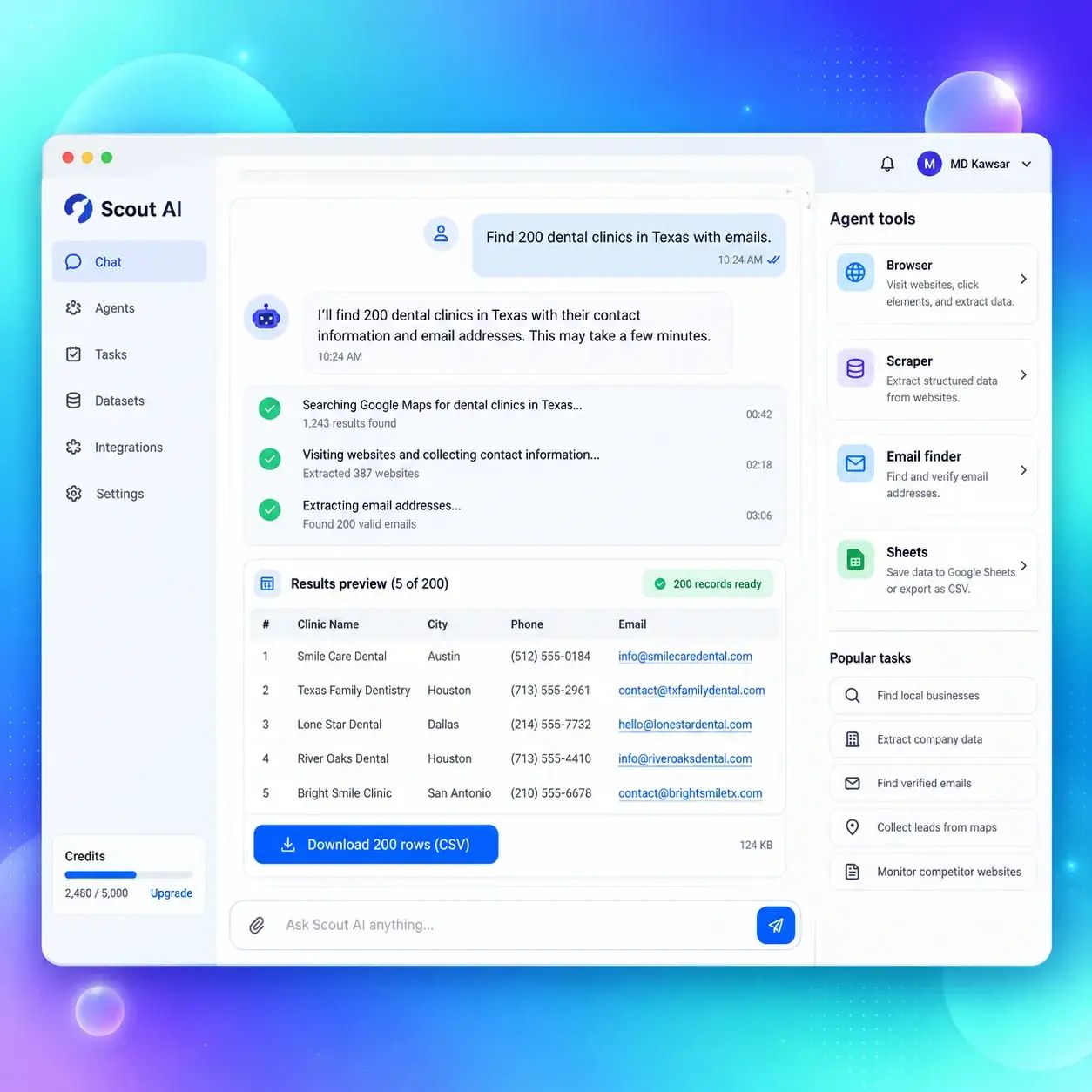 AI chat agent finding 200 Texas dental clinics with emails, showing task progress, a results preview, and CSV download.